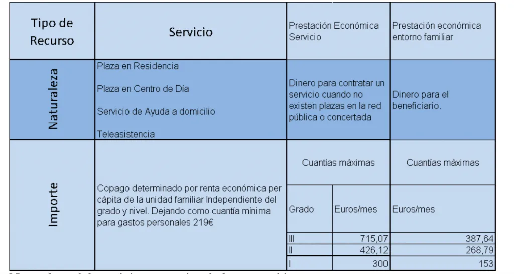 servicios e importe según el grado de discapacidad