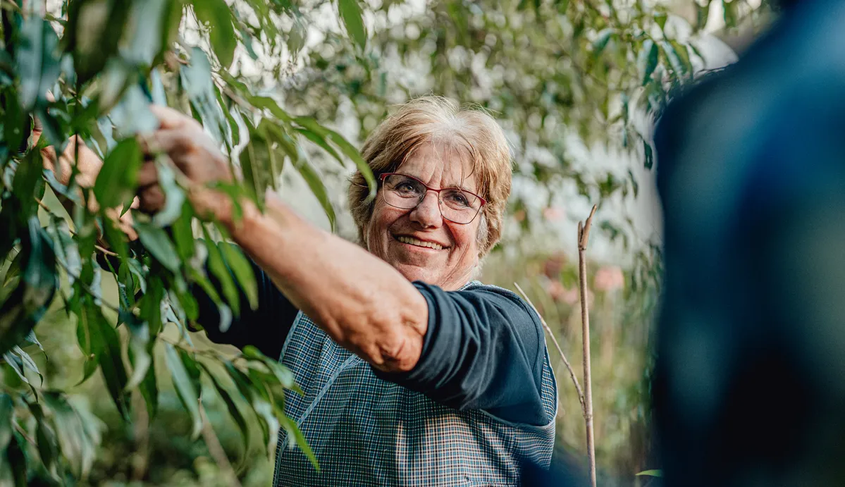 mujer jubilada recogiendo frutas en el huerto gracias al régimen agrario